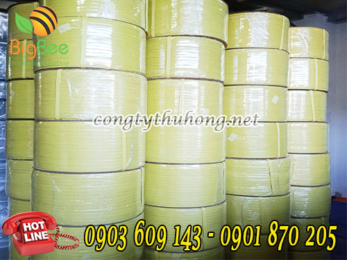 Cuộn 10kg dây dai pp vàng bản 1f4