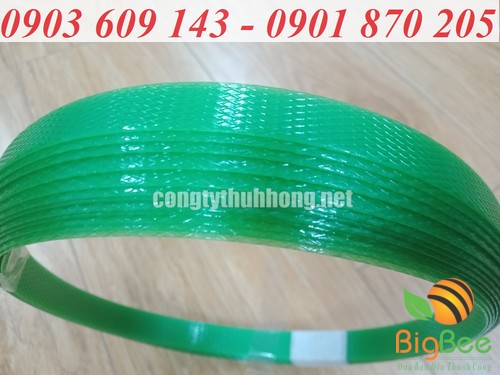 Dây đai nhựa PET nhám xanh lá