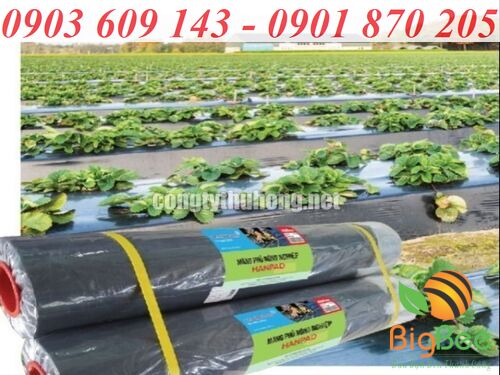 cuộn màng phủ nông nghiệp