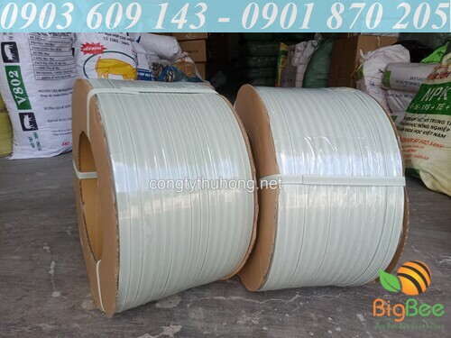 Dây đai PP màu trắng