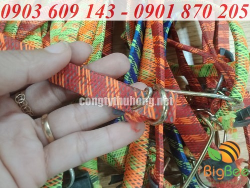 Đầu dây ràng được cô định bằng móc thép chắc chắn