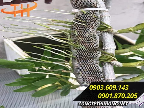 Bán giá rẻ dây rút nhựa Bán giá rẻ dây rút nhựa