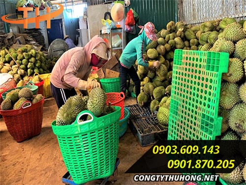 bán giỏ nhựa đựng sầu riêng bán giỏ nhựa đựng sầu riêng