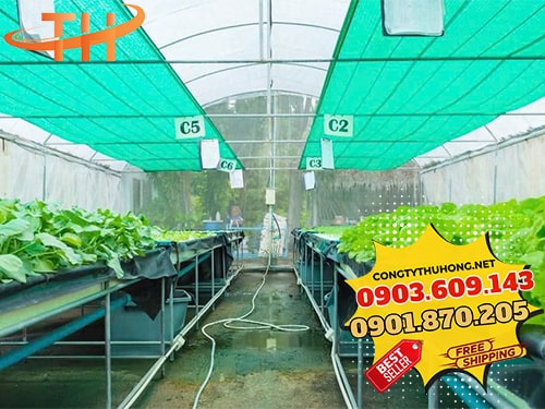 lưới cọ xanh Bán lưới cọ xanh giá rẻ tại TPHCM