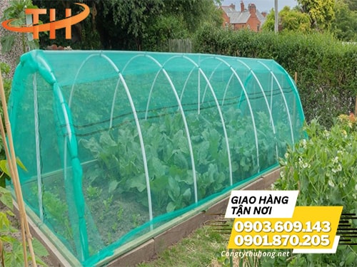 Lưới cọ xanh làm vườn Bán lưới cọ xanh