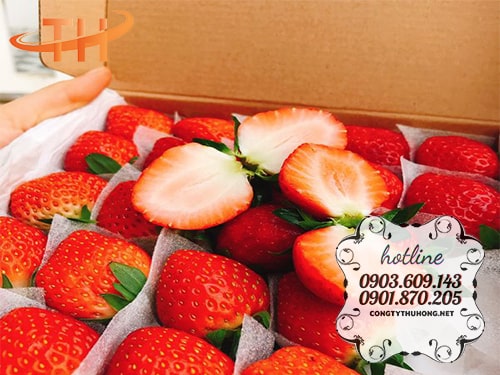 Bán mút xốp pe foam chất lượng Bán mút xốp pe foam chất lượng