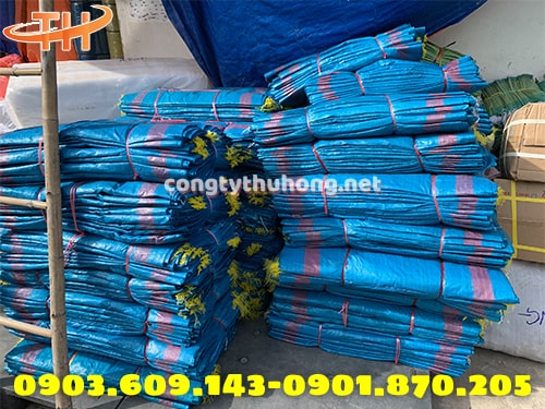 Bao dứa màu xanh giá rẻ Bao dứa màu xanh giá rẻ