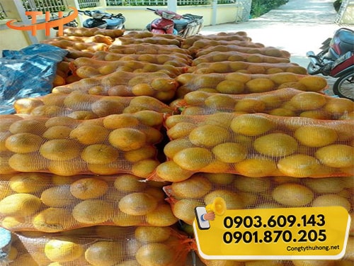 Bao lưới đựng nông sản Bao lưới đựng nông sản