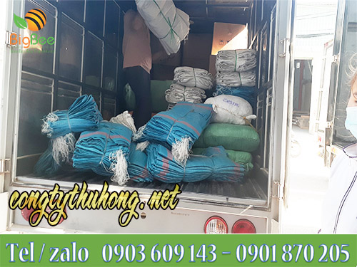 bao tải dứa xanh