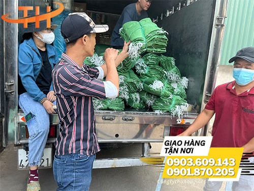 Bao tải giá rẻ Bao tải giá rẻ