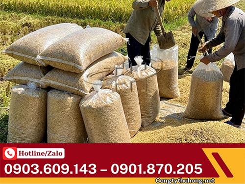 Bao tải PP trong suốt bao tải trong suốt giá sỉ