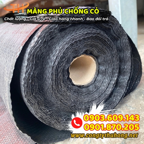 Bạt phủ chống cỏ giá rẻ Bạt phủ chống cỏ giá rẻ