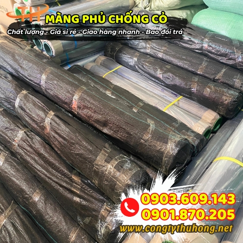 Bạt phủ chống cỏ giá rẻ Bạt phủ chống cỏ giá rẻ