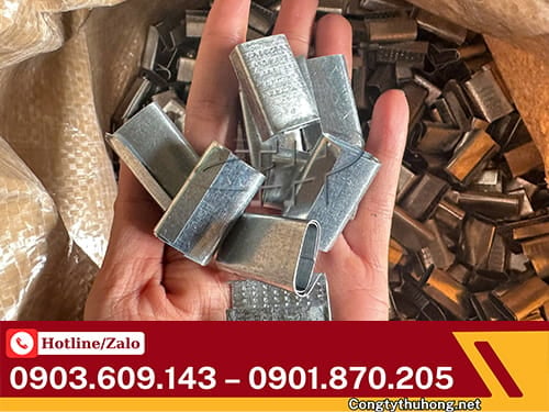Bọ đai thép Bọ đai thép
