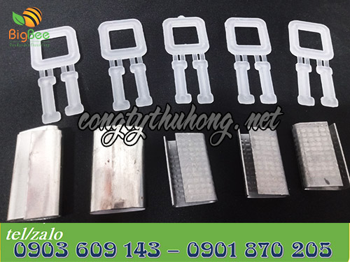 Các loại bọ khóa dây đai tại Thu Hồng