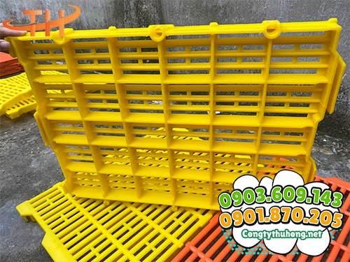 Sàn nhựa chăn nuôi Các loại sàn nhựa chăn nuôi