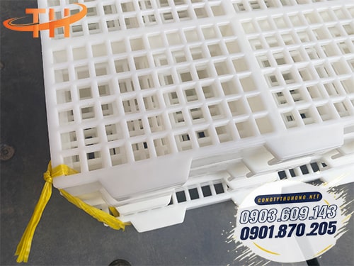 Sàn nhựa chăn nuôi dê Cách sử dụng sàn nhựa chăn nuôi