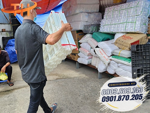 Sàn nhựa chăn nuôi dê giá rẻ, chất lượng Cách sử dũng sàn nhựa chăn nuôi dê đúng cách