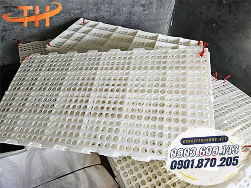 Sàn nhựa chăn nuôi dê Cách sử dụng sàn nhựa chăn nuôi dê
