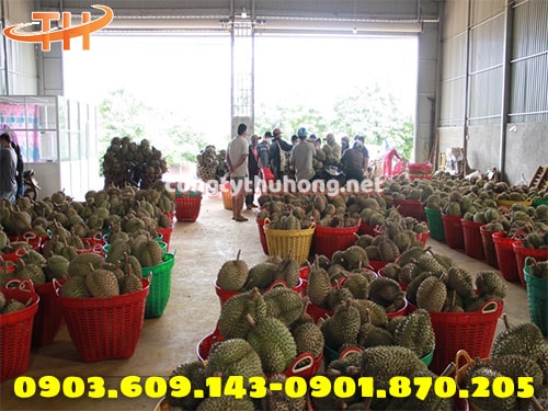 Cần xé nhựa đựng trái cây Cần xé nhựa đựng trái cây