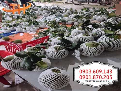 Công dụng xốp bọc trái cây nhiều màu Công dụng xốp bọc trái cây nhiều màu