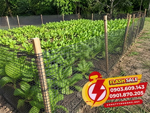lưới nhựa ô vuông Cung cấp lưới nhựa ô vuông