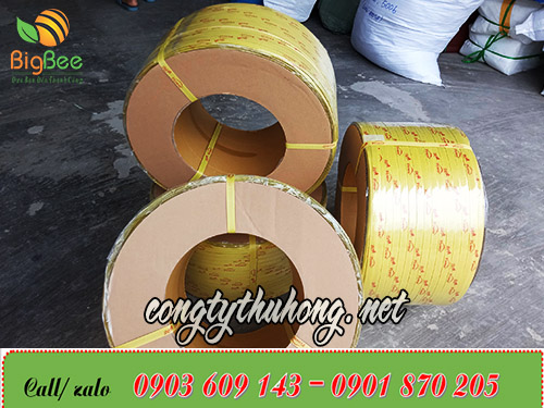 Cuộn 10kg dây đai nhựa pp in logo