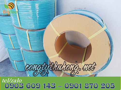 Cuộn dây đai pp xanh 1f2 10kg