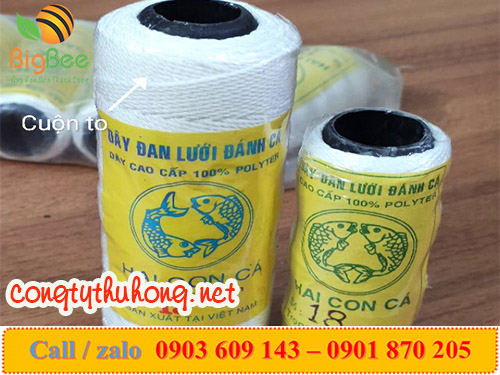 Dây nhợ 2 con cá cỡ đại