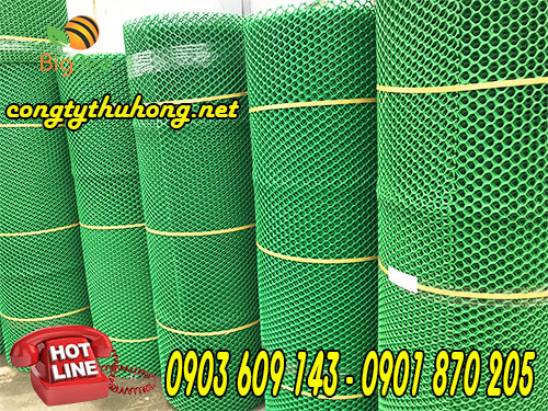 ưới nhựa xanh mắt cáo giá sỉ rẻ