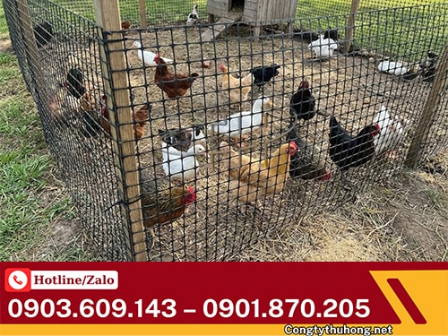 Cuộn lưới nhựa dẻo Cuộn lưới nhựa dẻo giá rẻ