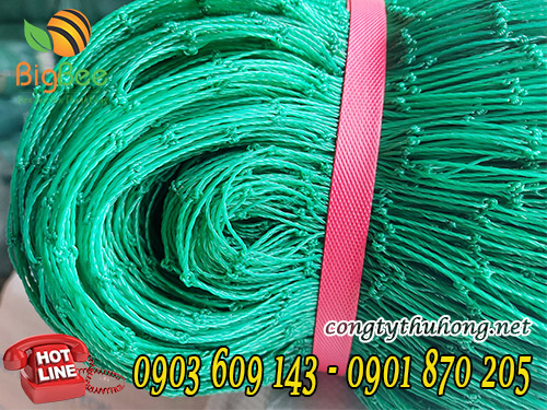 Cuộn lưới cước xanh rào vườn