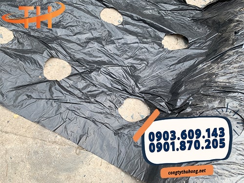 Cuộn màng phủ nông nghiệp đục lỗ sẵn Cuộn màng phủ nông nghiệp đục lỗ sẵn