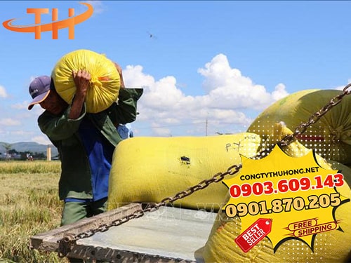 Bao tải PP đựng lúa Đại lý sỉ bao tải PP