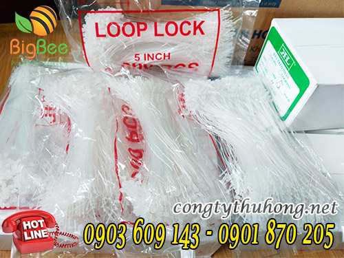 Đạn xỏ trắng 5 inch đầu nhọn