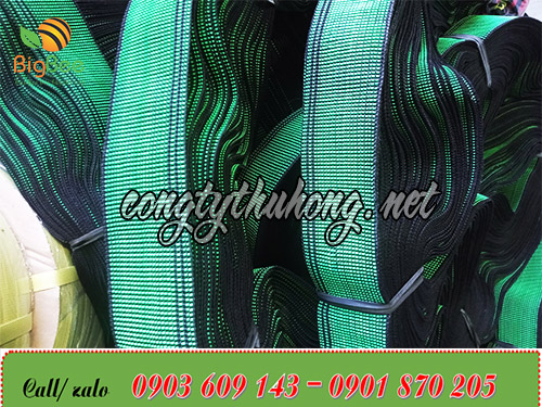 Dây chở hàng bố xanh bản 5cm