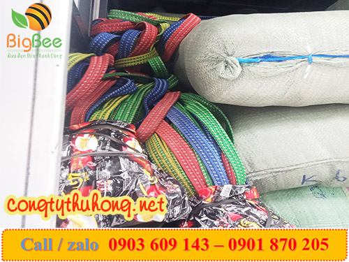 dây chun dẹt buộc hàng giá sỉ