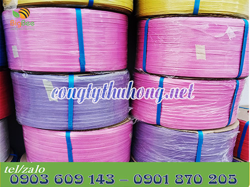 Dây đai PP nhiều màu 1f4