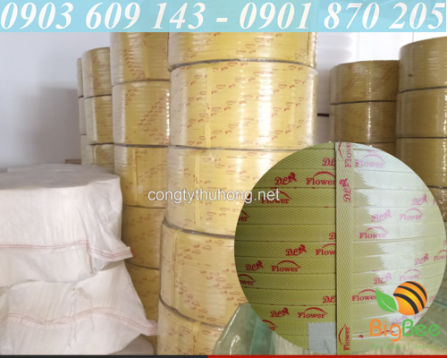 dây đai PP vàng in logo