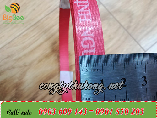 Mẫu dây đai nhựa đỏ 1f2 in logo