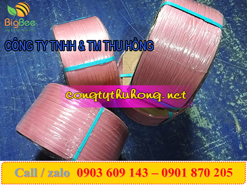 Cuộn dây đai nhựa pp 10kg 1f4