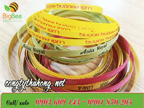 Mẫu các loại dây đai pp in logo