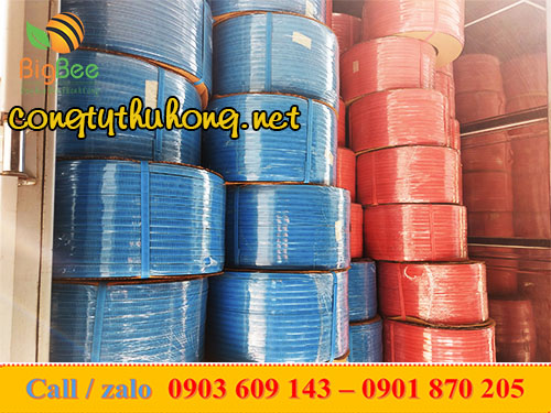 dây đai niềng hàng 1f2