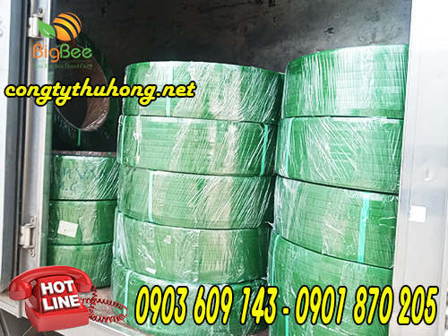 Cuộn 20kg dây đai nhựa pet giá rẻ