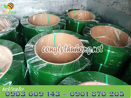 Nhập kho dây đai nhựa PET xanh lá bản 1f6