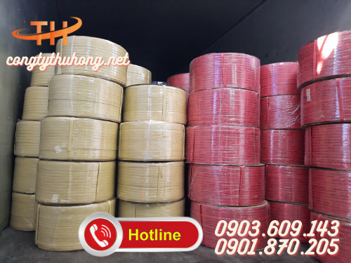 Dây đai nhựa pp 12mm