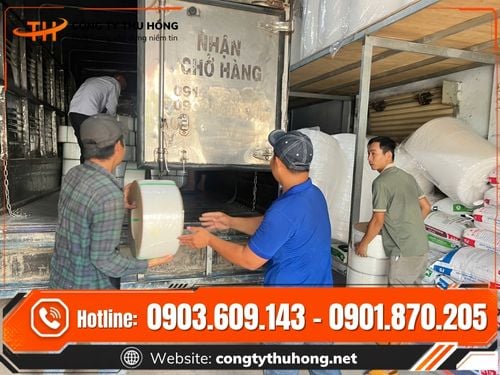 Dây đai nhựa PP in chữ Dây đai nhựa PP giá sỉ