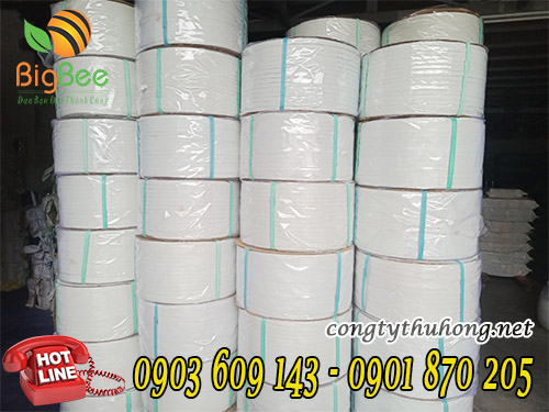 Cuộn 10kg dây đai nhựa pp trắng sữa