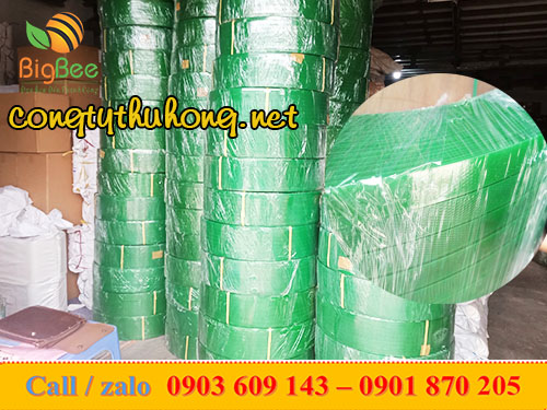 Cuộn 20kg dây đai PET caro bản 1f6