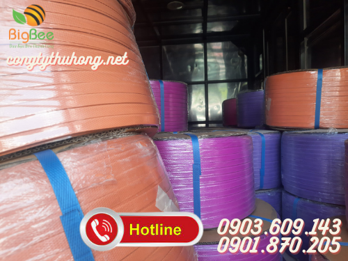 Dây đai pet cuộn 10kg